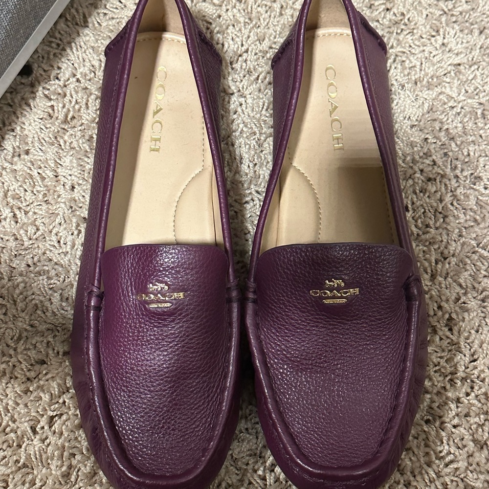 Coach driving shoes